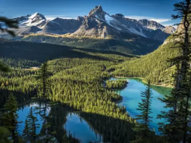 Fall Colors of Opabin Plateau and Lake O'hara Area