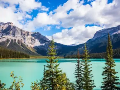 Emerald Lake surrounded by forest