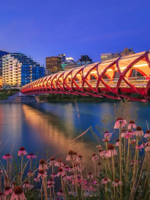 Calgary Holidays
