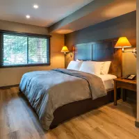 Buffalo Suite