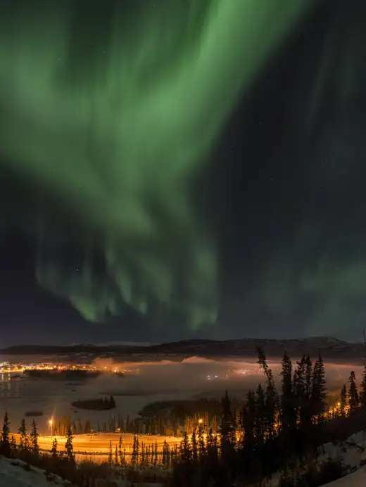 Whitehorse Holidays