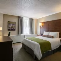 Standard Queen Room (1 Queen)