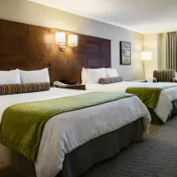 Standard Two Queen Beds