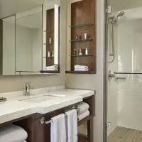 Standard (1 King Bed)