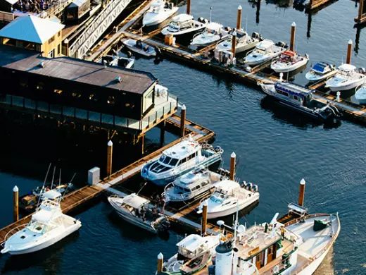 Tofino Resort & Marina