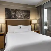 1 Bedroom Suite