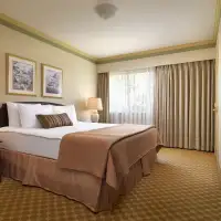 1 Bedroom Suite