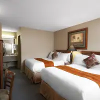 Standard (2 Beds)