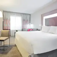 Standard (1 King Bed)