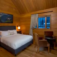 Studio Cabin