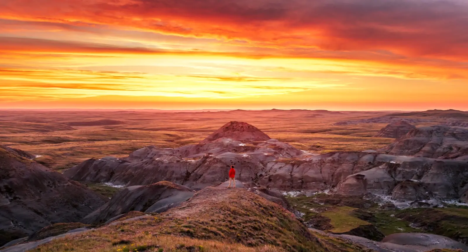 A man overlooks the plains of Saskatchewan