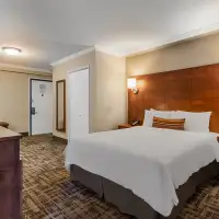 Standard Queen Room (1 Queen)