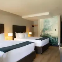 Double Queen Room