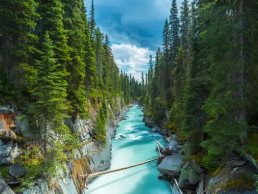Kootenay-National-Park.jpg