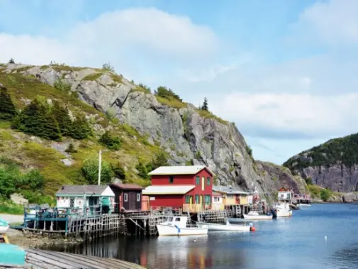 quidi-vidi.jpg