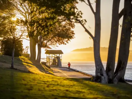 Stanley-Park-Runner-at-Brockton-Point.jpg