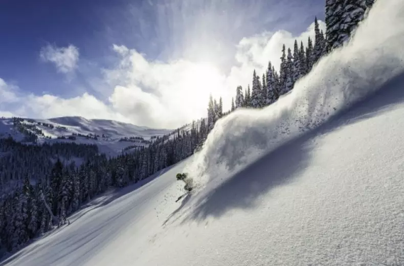 Whistler