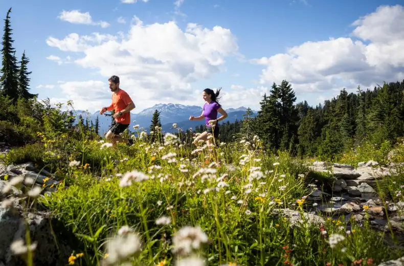 Two hikers on a wildflower high-alpine meadow near Whistler in British Columbia