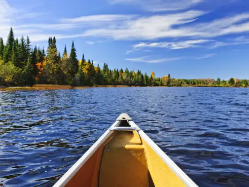 istock-122000065_algonquin_provincial_park.jpg