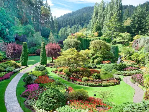 Serene Butchart Gardens, Victoria  stroll through vibrant, manicured flower beds and stately topiary.