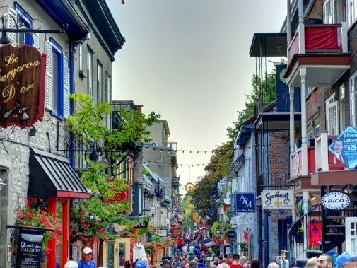 istock-1153225129.jpg