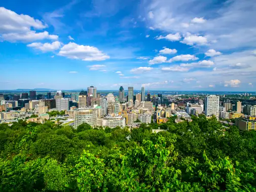 istock-479713310.jpg