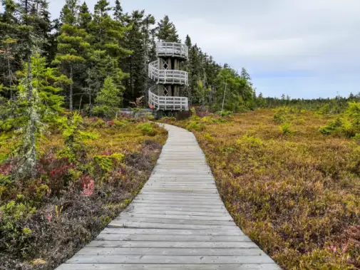kouchibouguac-national-park.jpg