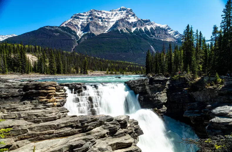 istock-1440537775.jpg