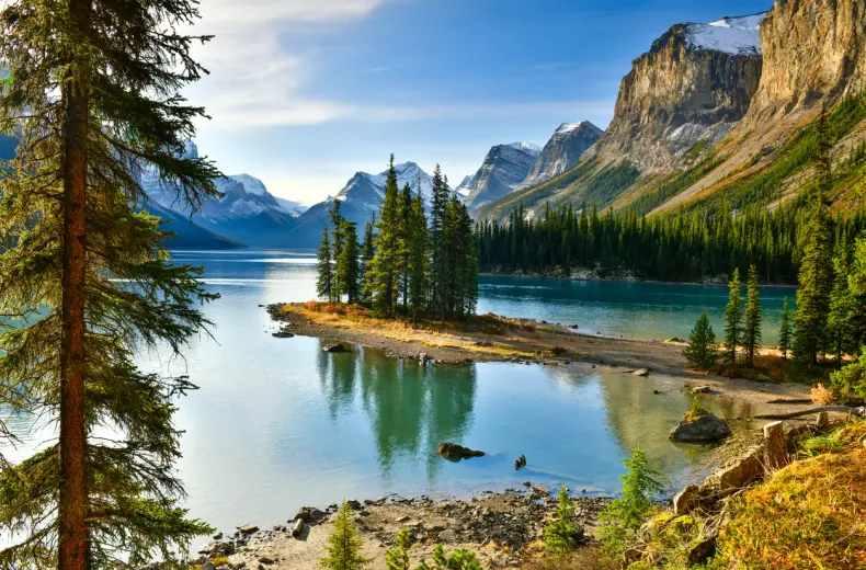 istock-913983172.jpg