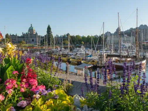 victoria-harbour-bc.jpg