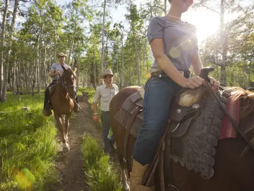 kananaskis-boundary-ranch.jpg