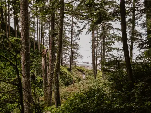 juan-de-fuca-provincial-park-bc.jpg