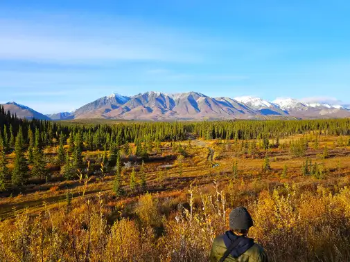 nbewr_landscape_001.jpeg