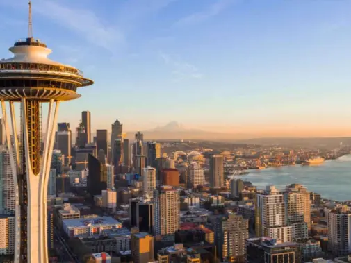 jpeg-optimizer_vs_zoom-background_space-needle.jpg