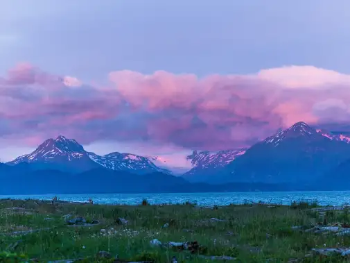 denali-national-park-in-alaska.jpg