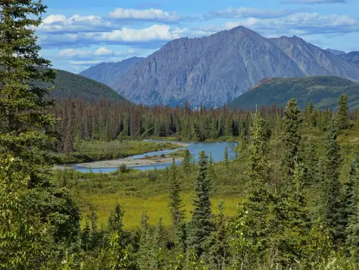 denali-national-park.jpg