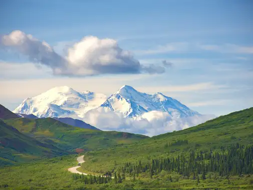 istock-1138892360.jpg