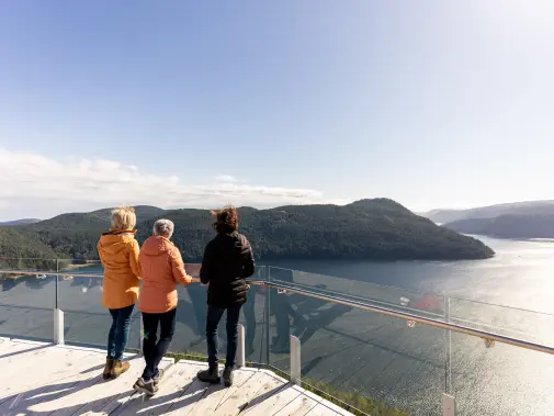 malahatskywalk_towerviews_maturefriends__2022.jpg
