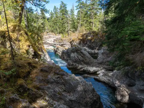 wildlifepacifictrail4.jpg