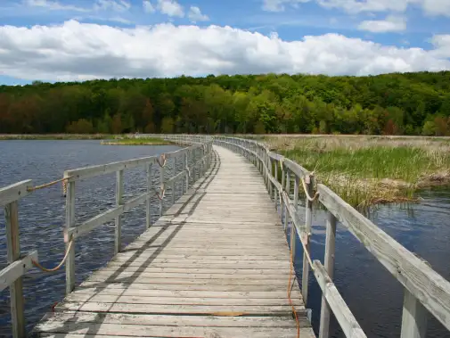 istock-137863177-oka-national-park.jpg
