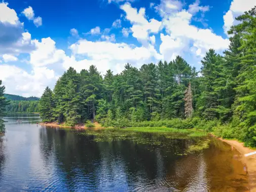 istock-534056236-la-mauricie-national-park.jpg
