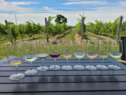 winery-at-niagara-on-the-lake.jpg