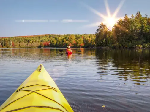 people-canoeing-on-a-lake-in-algonquin-park.jpg