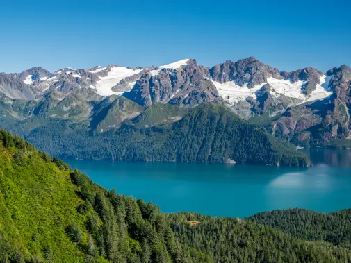 istock-1047380176.jpg