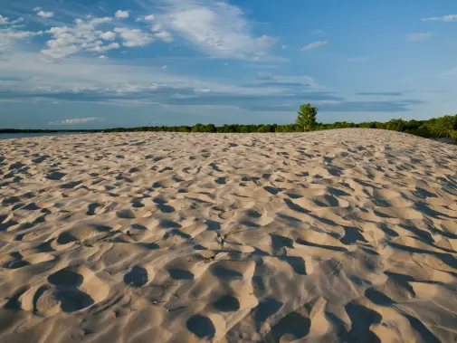 istock-149038254.jpg