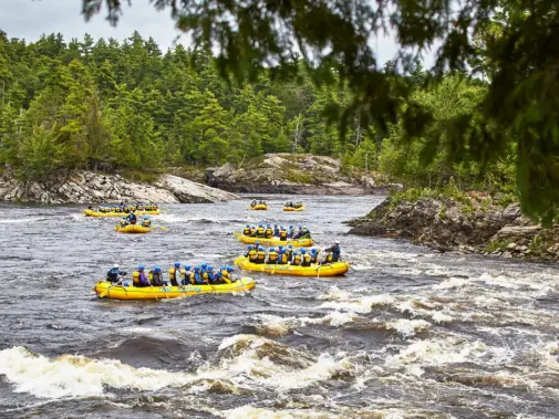 owl-rafting-3.jpg