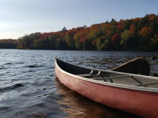 paddling---halforest-36.jpg