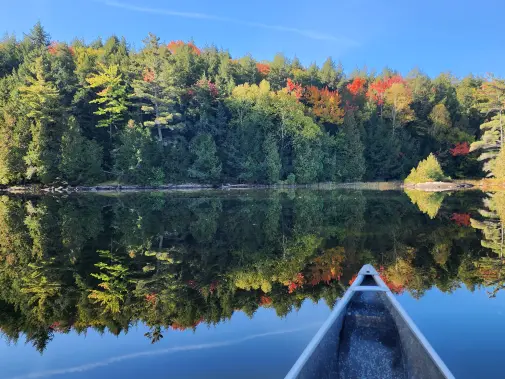 paddling---halforest-6.jpg
