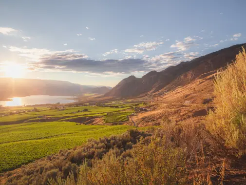 istock-1293510712-osoyoos.jpg