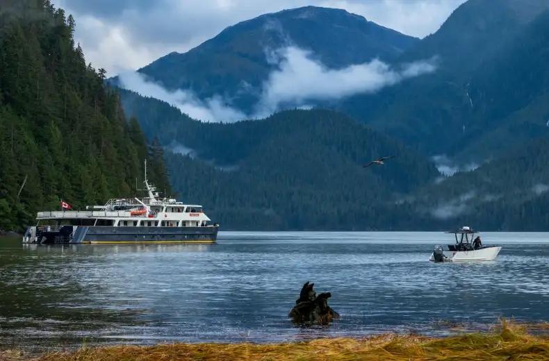 mla---great-bear-rainforest--jeffrey-reynolds.jpg